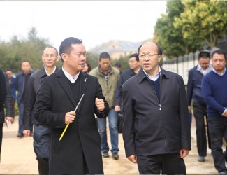 云南省委常委、副書記李秀領(lǐng)一行到苗鄉(xiāng)三七科技示范園考察調(diào)研