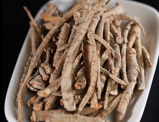 什么是三七大根？三七大根與主根有什么不同？
